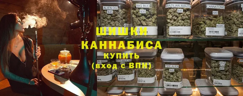 Бошки марихуана Amnesia  Асино 